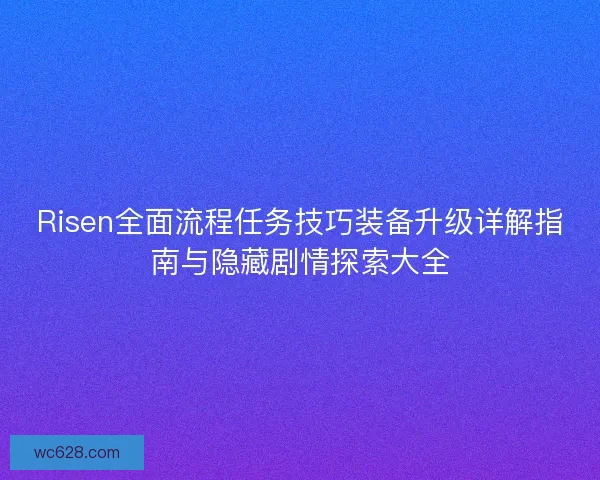 Risen全面流程任务技巧装备升级详解指南与隐藏剧情探索大全