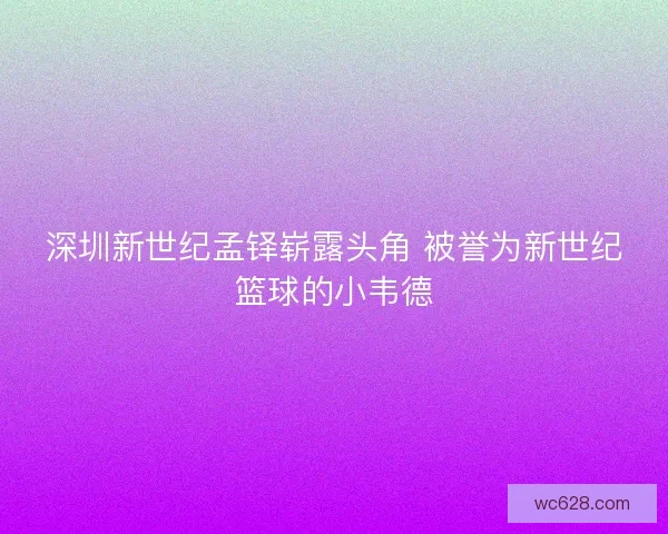 深圳新世纪孟铎崭露头角 被誉为新世纪篮球的小韦德