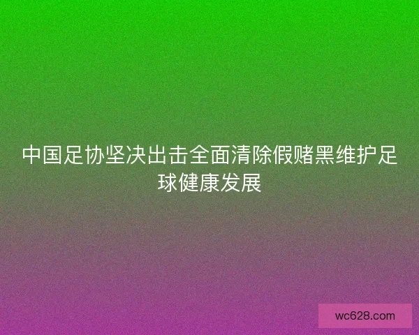 中国足协坚决出击全面清除假赌黑维护足球健康发展