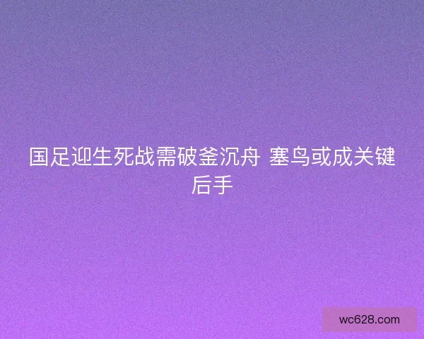 国足迎生死战需破釜沉舟 塞鸟或成关键后手